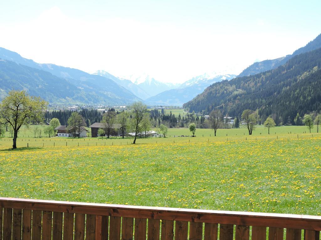 Appartement Haus Moesenlechner à Maishofen Extérieur photo